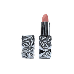 WTB Professional 4in1 lipstick #Love peach