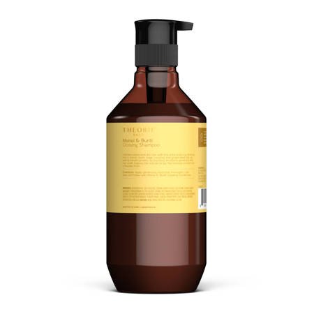 THEORIE Sage Monoi & Buriti Glossing Shampoo 400ml